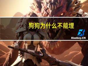 狗狗为什么不能埋