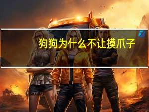 狗狗为什么不让摸爪子