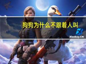 狗狗为什么不跟着人叫