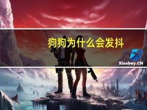 狗狗为什么会发抖