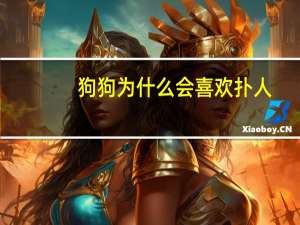狗狗为什么会喜欢扑人
