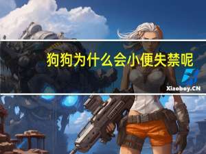 狗狗为什么会小便失禁呢