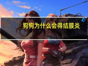 狗狗为什么会得结膜炎