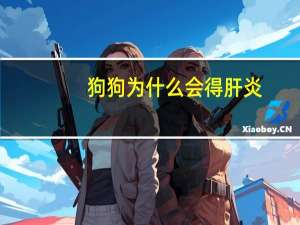 狗狗为什么会得肝炎