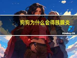狗狗为什么会得胰腺炎