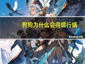 狗狗为什么会得蠕行螨