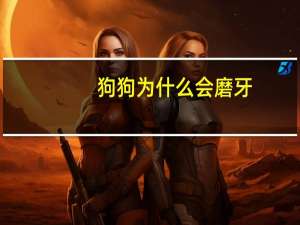 狗狗为什么会磨牙
