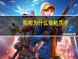 狗狗为什么会粘爪子