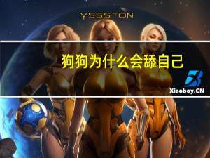 狗狗为什么会舔自己