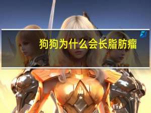 狗狗为什么会长脂肪瘤