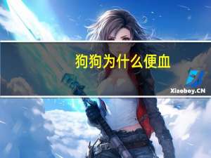 狗狗为什么便血