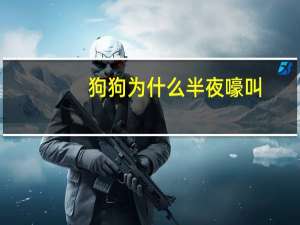 狗狗为什么半夜嚎叫
