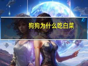 狗狗为什么吃白菜