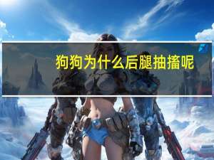 狗狗为什么后腿抽搐呢