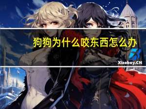 狗狗为什么咬东西怎么办