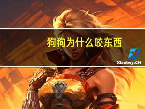 狗狗为什么咬东西