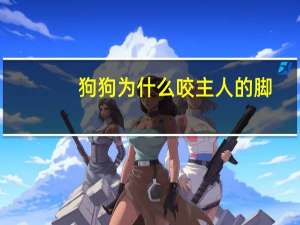 狗狗为什么咬主人的脚