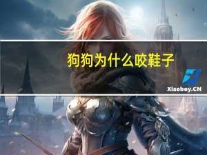 狗狗为什么咬鞋子