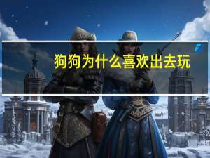 狗狗为什么喜欢出去玩