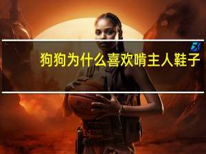 狗狗为什么喜欢啃主人鞋子
