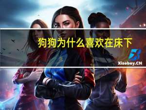 狗狗为什么喜欢在床下
