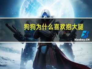 狗狗为什么喜欢抱大腿