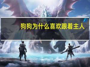 狗狗为什么喜欢跟着主人