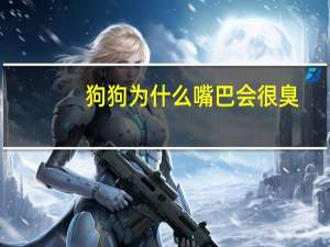 狗狗为什么嘴巴会很臭