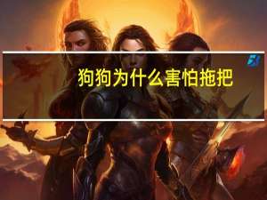 狗狗为什么害怕拖把
