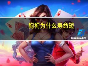 狗狗为什么寿命短