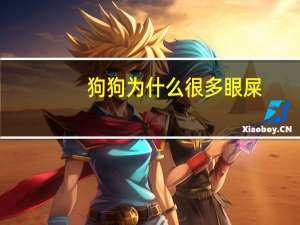 狗狗为什么很多眼屎