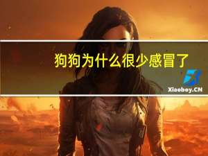 狗狗为什么很少感冒了