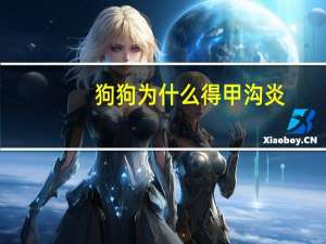 狗狗为什么得甲沟炎