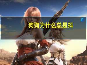 狗狗为什么总是抖