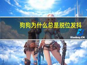 狗狗为什么总是脱位发抖
