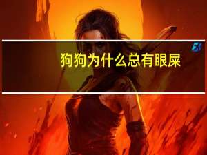狗狗为什么总有眼屎