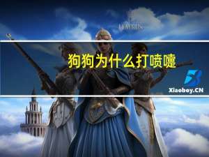 狗狗为什么打喷嚏