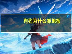 狗狗为什么抓地板