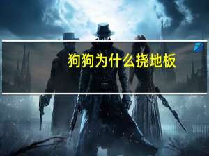 狗狗为什么挠地板