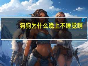 狗狗为什么晚上不睡觉啊