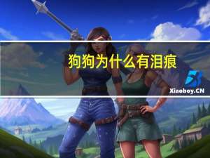 狗狗为什么有泪痕