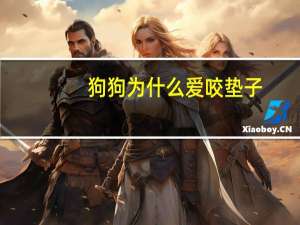 狗狗为什么爱咬垫子