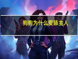 狗狗为什么爱舔主人