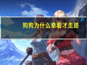 狗狗为什么牵着才走路