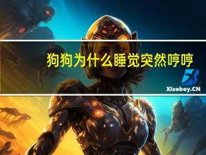 狗狗为什么睡觉突然哼哼