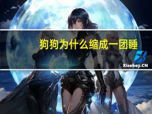 狗狗为什么缩成一团睡