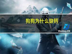 狗狗为什么缺钙