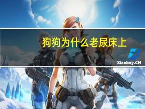狗狗为什么老尿床上