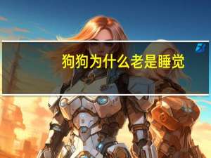 狗狗为什么老是睡觉
