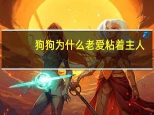 狗狗为什么老爱粘着主人